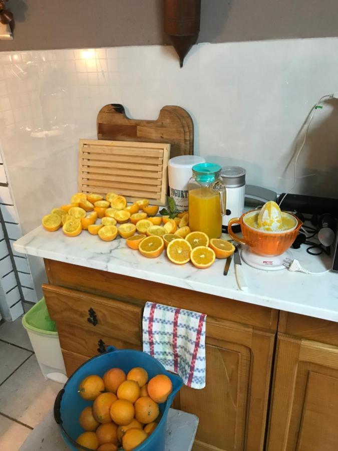 Agriturismo Cantina Morone Guardia Sanframondi Zewnętrze zdjęcie